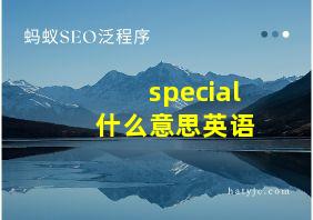 special 什么意思英语