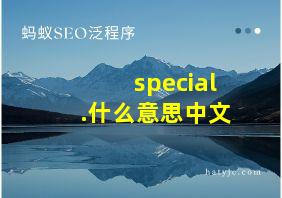 special.什么意思中文