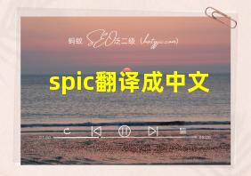 spic翻译成中文