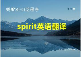 spirit英语翻译