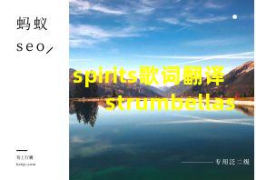 spirits歌词翻译strumbellas