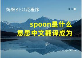 spoon是什么意思中文翻译成为