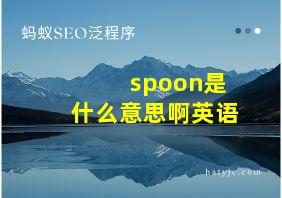 spoon是什么意思啊英语