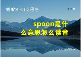 spoon是什么意思怎么读音