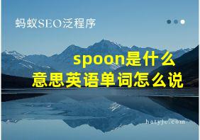 spoon是什么意思英语单词怎么说