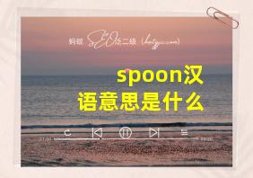 spoon汉语意思是什么