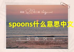 spoons什么意思中文