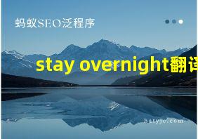 stay overnight翻译