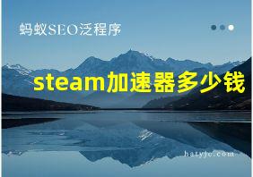 steam加速器多少钱