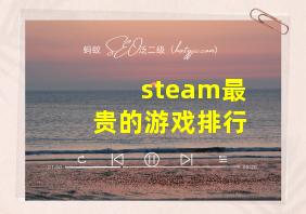 steam最贵的游戏排行