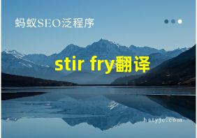 stir fry翻译