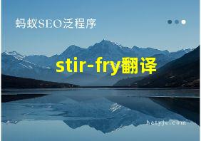 stir-fry翻译