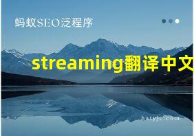 streaming翻译中文