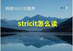 stricit怎么读