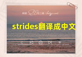 strides翻译成中文