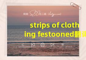 strips of clothing festooned翻译