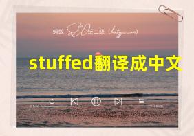 stuffed翻译成中文