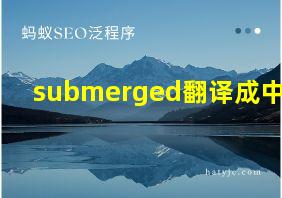 submerged翻译成中文