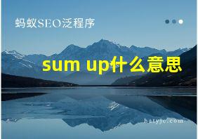 sum up什么意思