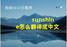 sunshine怎么翻译成中文