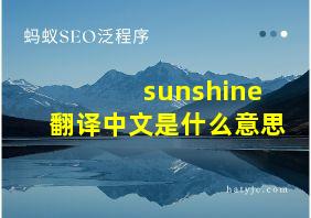 sunshine翻译中文是什么意思