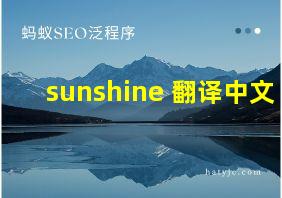 sunshine 翻译中文