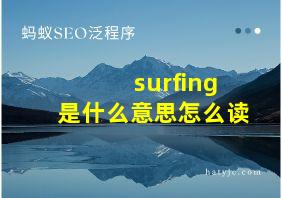 surfing是什么意思怎么读