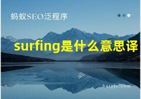 surfing是什么意思译