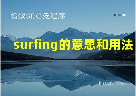 surfing的意思和用法