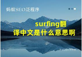 surfing翻译中文是什么意思啊