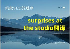 surprises at the studio翻译