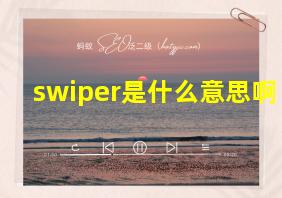 swiper是什么意思啊