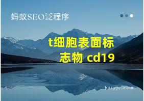 t细胞表面标志物 cd19