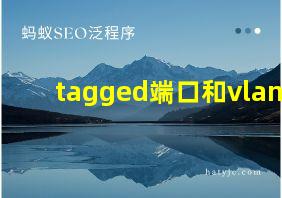 tagged端口和vlan