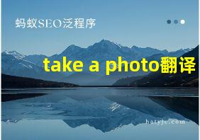 take a photo翻译