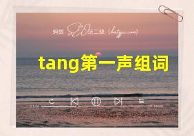 tang第一声组词