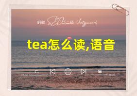 tea怎么读,语音