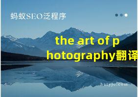 the art of photography翻译