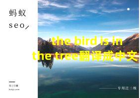 the bird is in the tree翻译成中文