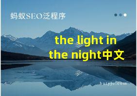 the light in the night中文