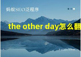 the other day怎么翻译