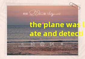 the plane was late and detectives翻译