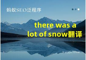 there was a lot of snow翻译