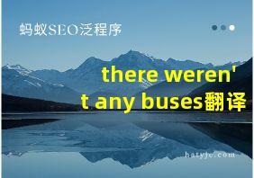 there weren't any buses翻译