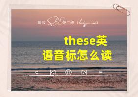 these英语音标怎么读