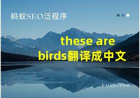 these are birds翻译成中文