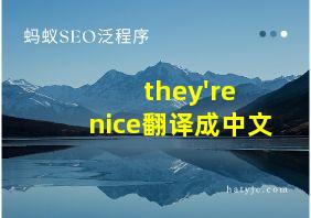 they're nice翻译成中文