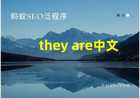 they are中文