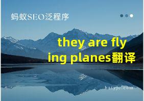 they are flying planes翻译