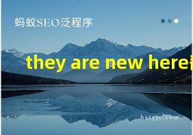 they are new here翻译